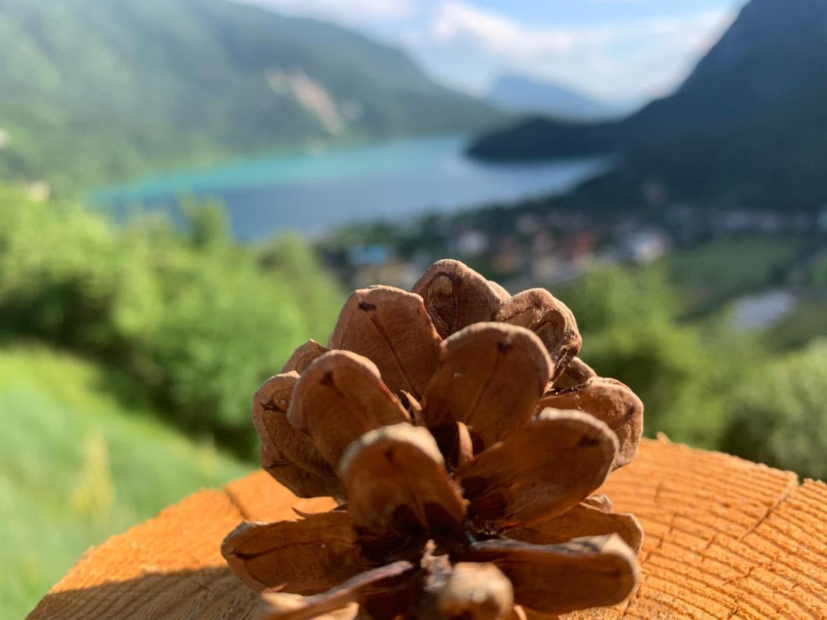 B&B Le Coccole Molveno Exteriér fotografie